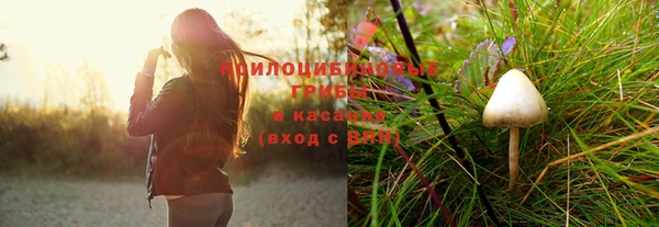 ешки Баксан